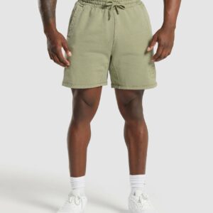 Premium Legacy Shorts Natural Sage Green